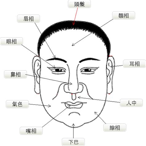 單鳳眼男|丹鳳眼面相圖解